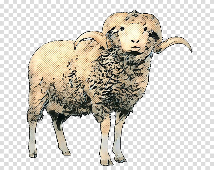 Eid Al Adha Islamic, Eid Mubarak, Muslim, Sheep, Argali, Cattle, Wildlife, Snout transparent background PNG clipart