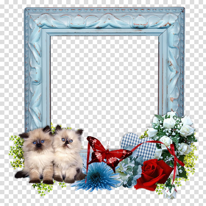 Background Frame Summer Frame, Puppy, Shih Tzu, Frames, Breed, Blog, Crossbreed, Floral Design transparent background PNG clipart