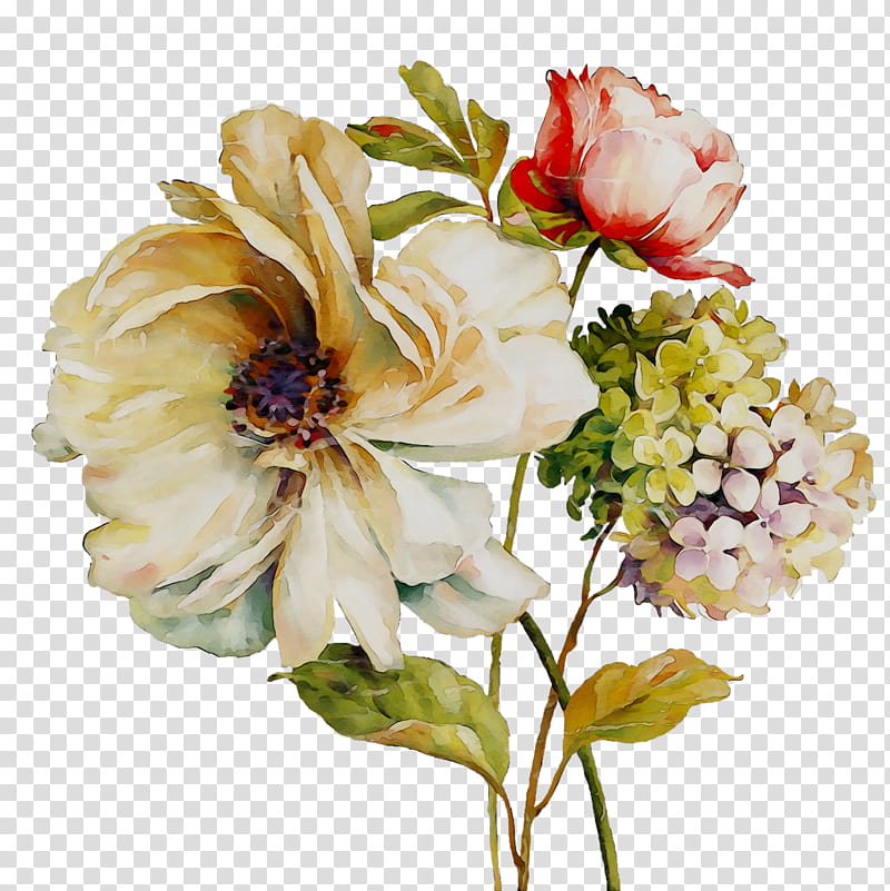 Watercolor Flower, Cabbage Rose, Garden Roses, Cut Flowers, Floral Design, Flower Bouquet, Artificial Flower, Peony transparent background PNG clipart