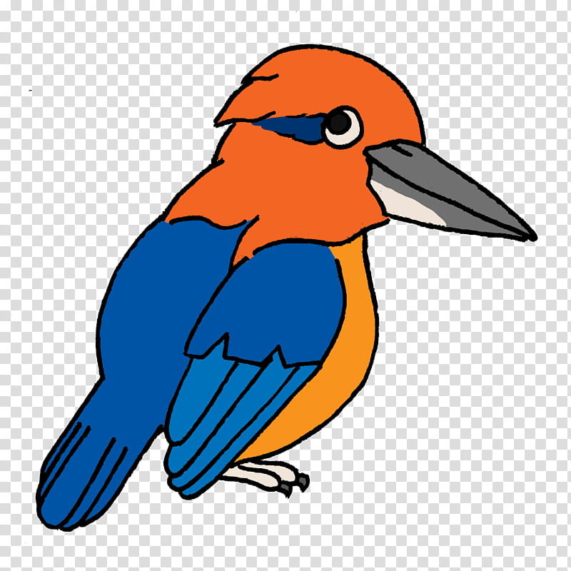 Bird Of Paradise, Guam Kingfisher, Common Kingfisher, Belted Kingfisher, Beak, Forest Kingfisher, Tree Kingfisher, Drawing transparent background PNG clipart