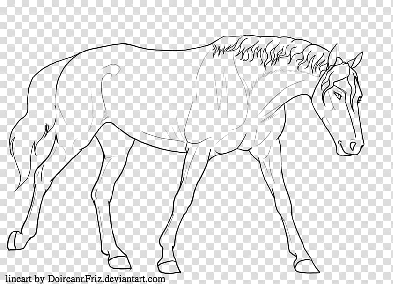 Warmblood mare lineart, white horse illustration transparent background PNG clipart