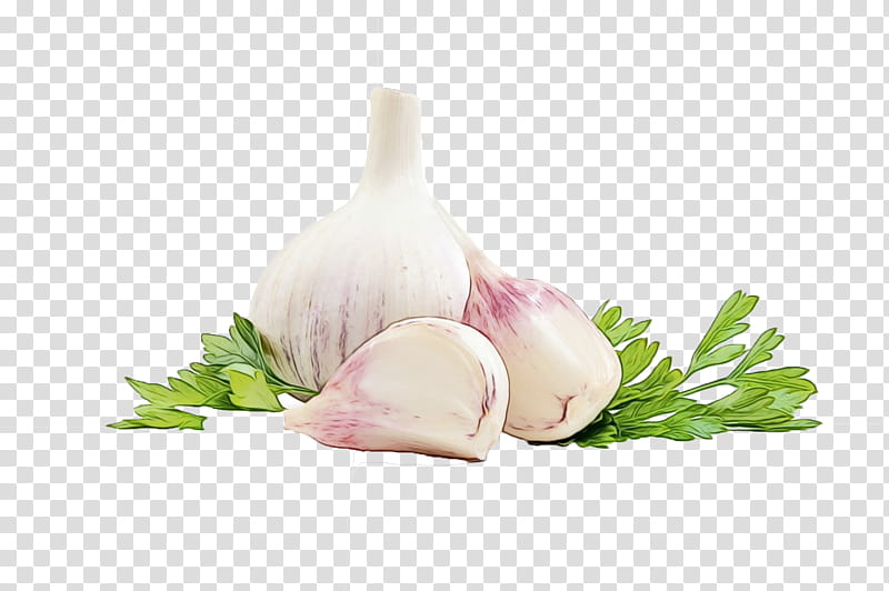 Onion, Mediterranean Cuisine, Garlic, Food, Garlic Bread, Stuffing, Garlic Powder, Ingredient transparent background PNG clipart