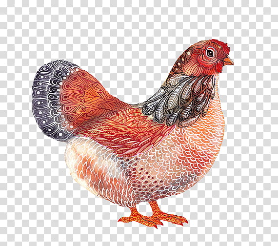 Vintage Animals Sorpresita  , red hen illustration transparent background PNG clipart