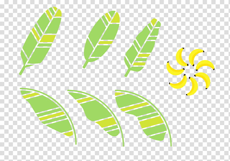 Banana Leaf, Plantain, Drawing, Hardy Banana, Feather transparent background PNG clipart
