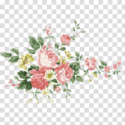 Vintage Flowers, white and green floral textile transparent background ...