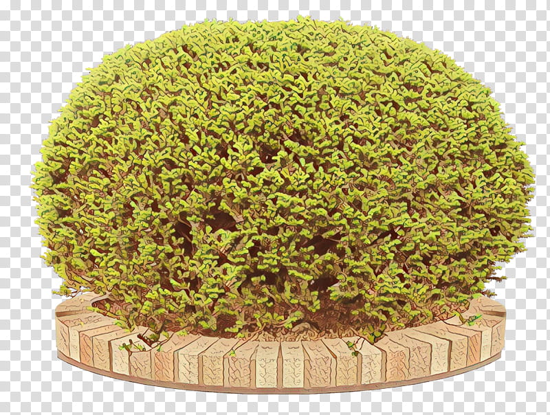green grass plant leaf tree, Cartoon, Shrub, Moss, Perennial Plant transparent background PNG clipart