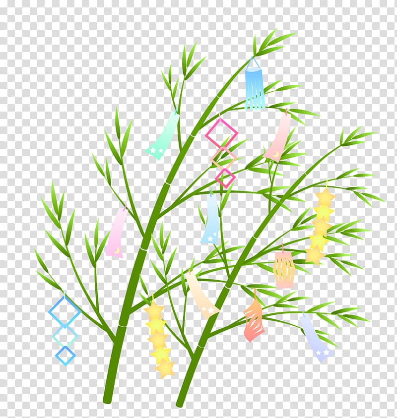 Summer Background Design, Qixi Festival, Sasa, Tropical Woody Bamboos, Grasses, Seitai, Summer
, Floral Design transparent background PNG clipart