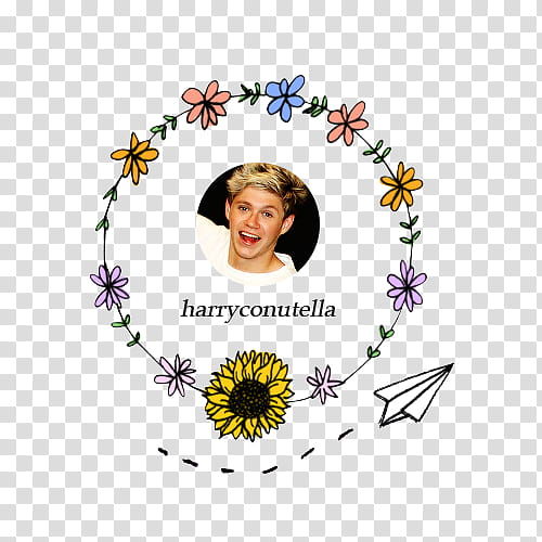 Flawless ID, Niall Horan. transparent background PNG clipart