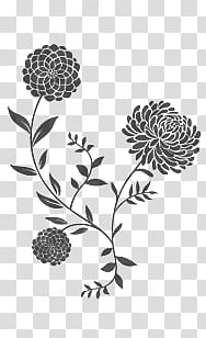 Flower Brushes, black and white abstract painting transparent background PNG clipart