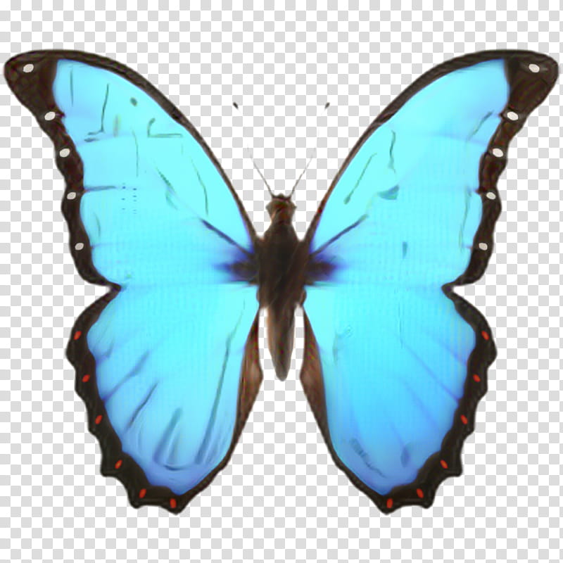 Ios Emoji, Butterfly, Iphone, IOS 10, Sticker, Apple Color Emoji, Ios ...