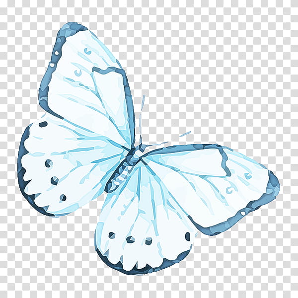 butterfly moths and butterflies insect white pollinator, Brushfooted Butterfly, Lycaenid, Pieridae transparent background PNG clipart