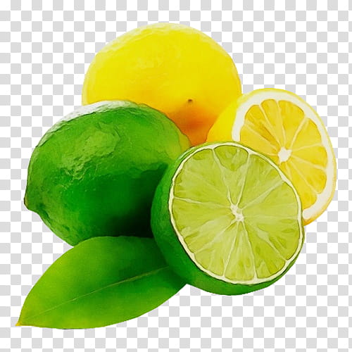 lime citrus persian lime key lime lemon, Watercolor, Paint, Wet Ink, Lemonlime, Fruit, Sweet Lemon, Green transparent background PNG clipart