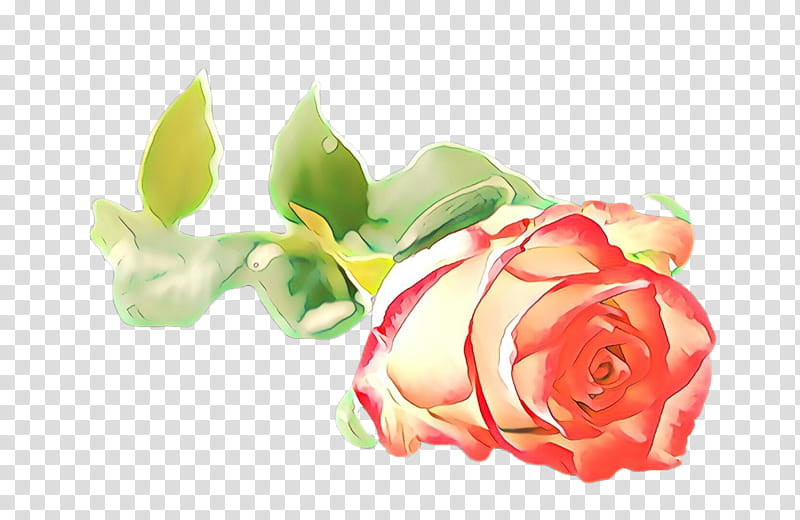 Floral Flower, Cartoon, Garden Roses, Cabbage Rose, Qixi Festival, Floral Design, Cut Flowers, Pink transparent background PNG clipart