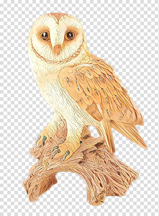 Bird, Owl, Drawing, Cartoon, Barn Owl, Beak, Bird Of Prey, Animal Figure transparent background PNG clipart