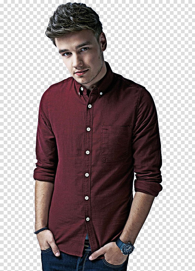 Liam Payne , One Direction Niall Horan transparent background PNG clipart