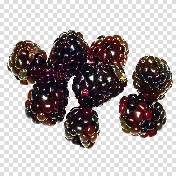 Fruit, Boysenberry, Inismsci Saudi Acapls, Berries, Bead, Blackberry, Blackberry Limited, Rubus transparent background PNG clipart