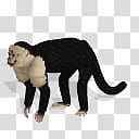 Spore creature White faced capuchin  transparent background PNG clipart