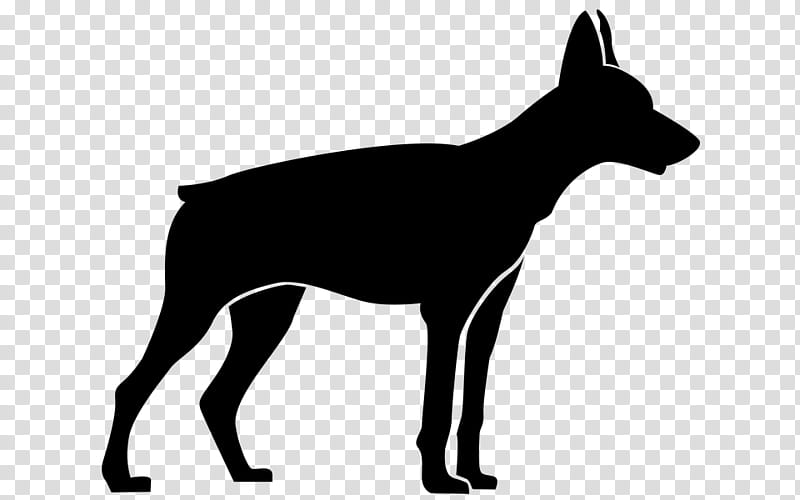 Dog Logo, Rhodesian Ridgeback, Puppy, Snout, Guard Dog, Dobermann, Great Dane transparent background PNG clipart
