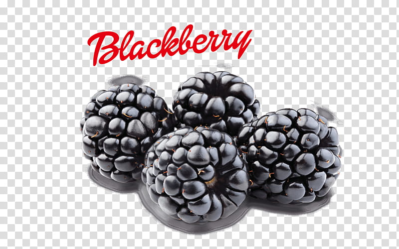 Fruit, Blackberry Z10, Berries, Blackberry Limited, Food, Raspberry, Brambles, Flavor transparent background PNG clipart