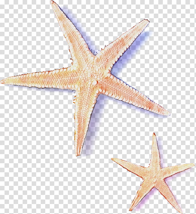Monster, Watercolor, Paint, Wet Ink, Starfish, Sea, Drawing, Sea Monster transparent background PNG clipart