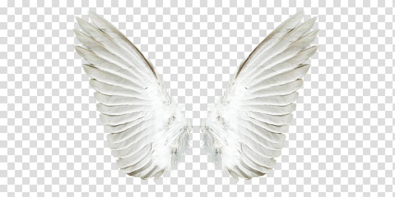 White Angel Wings  , white wings transparent background PNG clipart