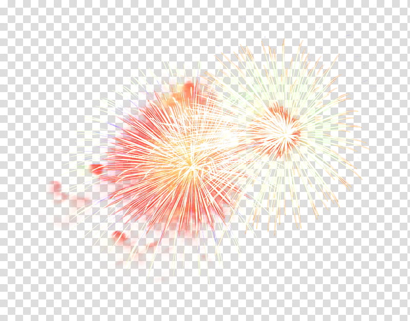 fireworks pink plant flower event, Recreation, Holiday transparent background PNG clipart