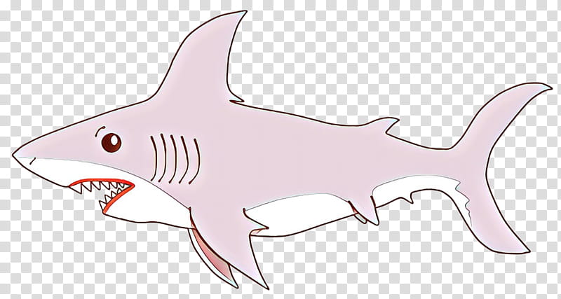 Great White Shark, Tiger Shark, Squaliform Sharks, Line Art, Requiem Sharks, Cartoon, Biology, Animal transparent background PNG clipart