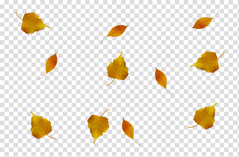 hojas de otono , brown leaves transparent background PNG clipart