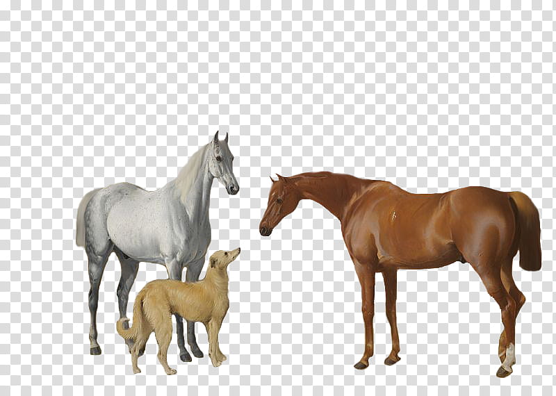 Grey and Chestnut Horse Deerhound Dog, two brown and white horses and white transparent background PNG clipart