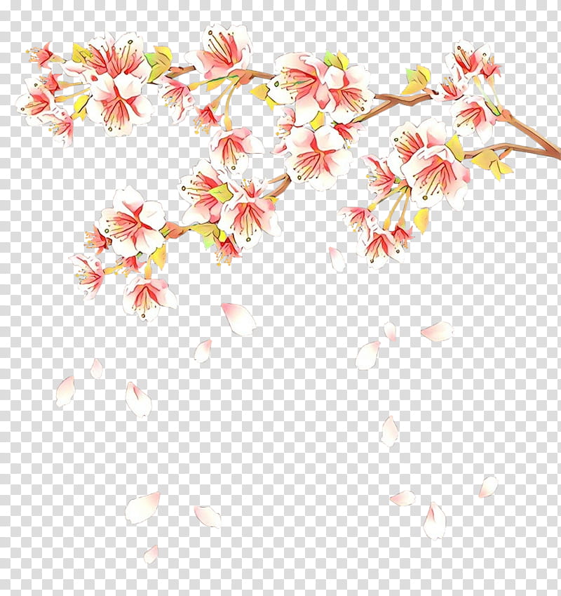 Cherry Blossom, East Asian Cherry, Japan, Drawing, Flower, Cerasus, Japanese Language, Cherries transparent background PNG clipart