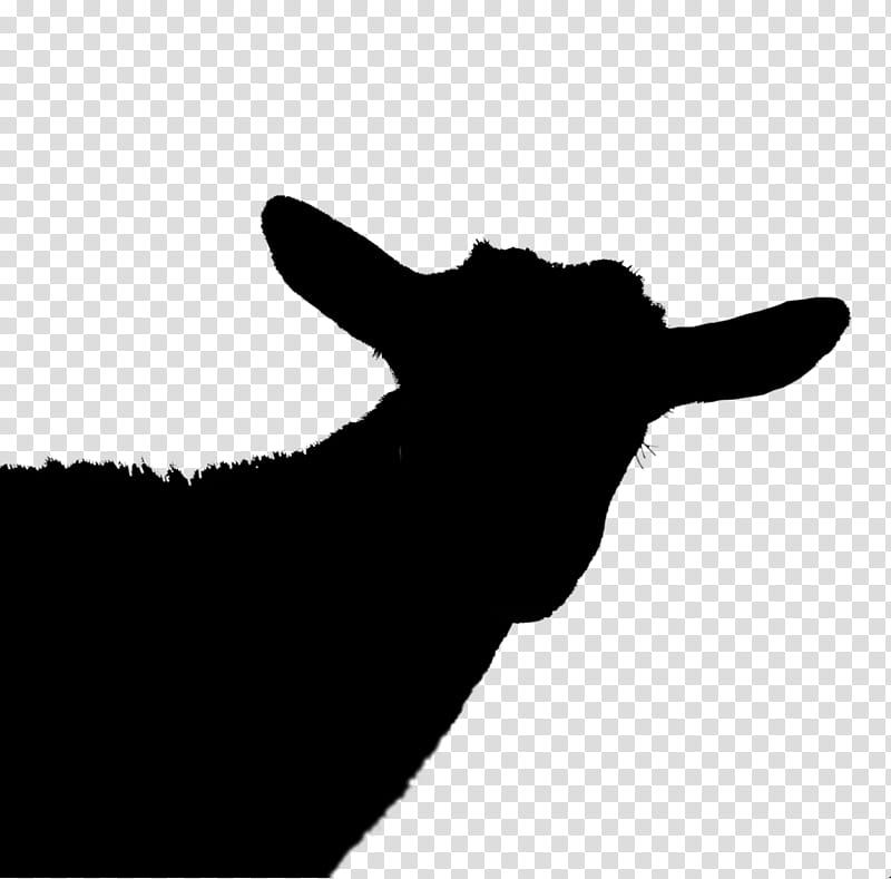 Goat, Cattle, Silhouette, Snout, Sky, Black, Head, Blackandwhite transparent background PNG clipart