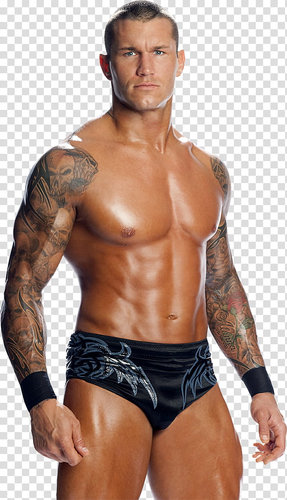 randy orton transparent background png cliparts free download hiclipart randy orton transparent background png