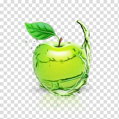 green natural foods fruit plant apple, Watercolor, Paint, Wet Ink, Leaf, Liquid, Granny Smith transparent background PNG clipart