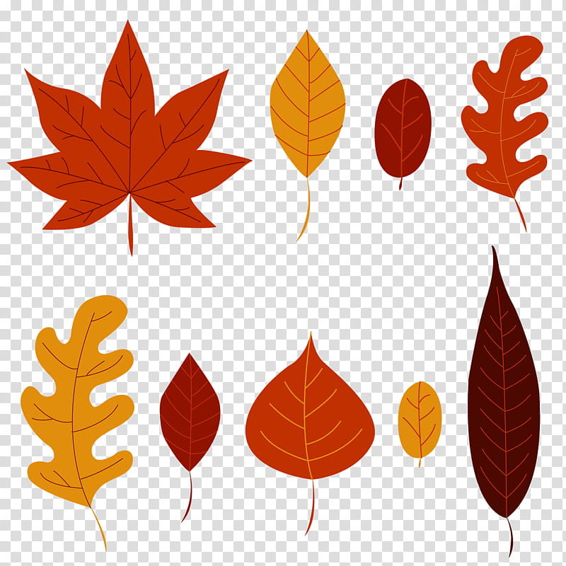 Cute Tree, Tshirt, Leaf, Maple Leaf, Orange, Plant transparent background PNG clipart