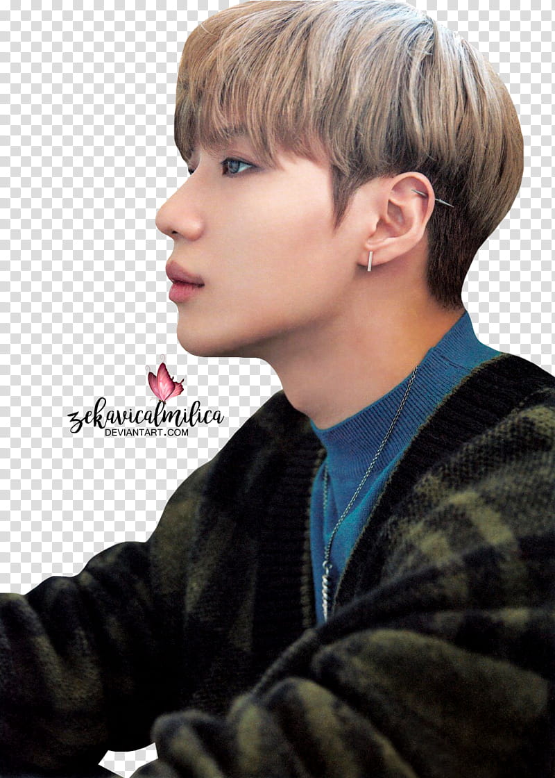 SHINee Taemin  Season Greetings transparent background PNG clipart