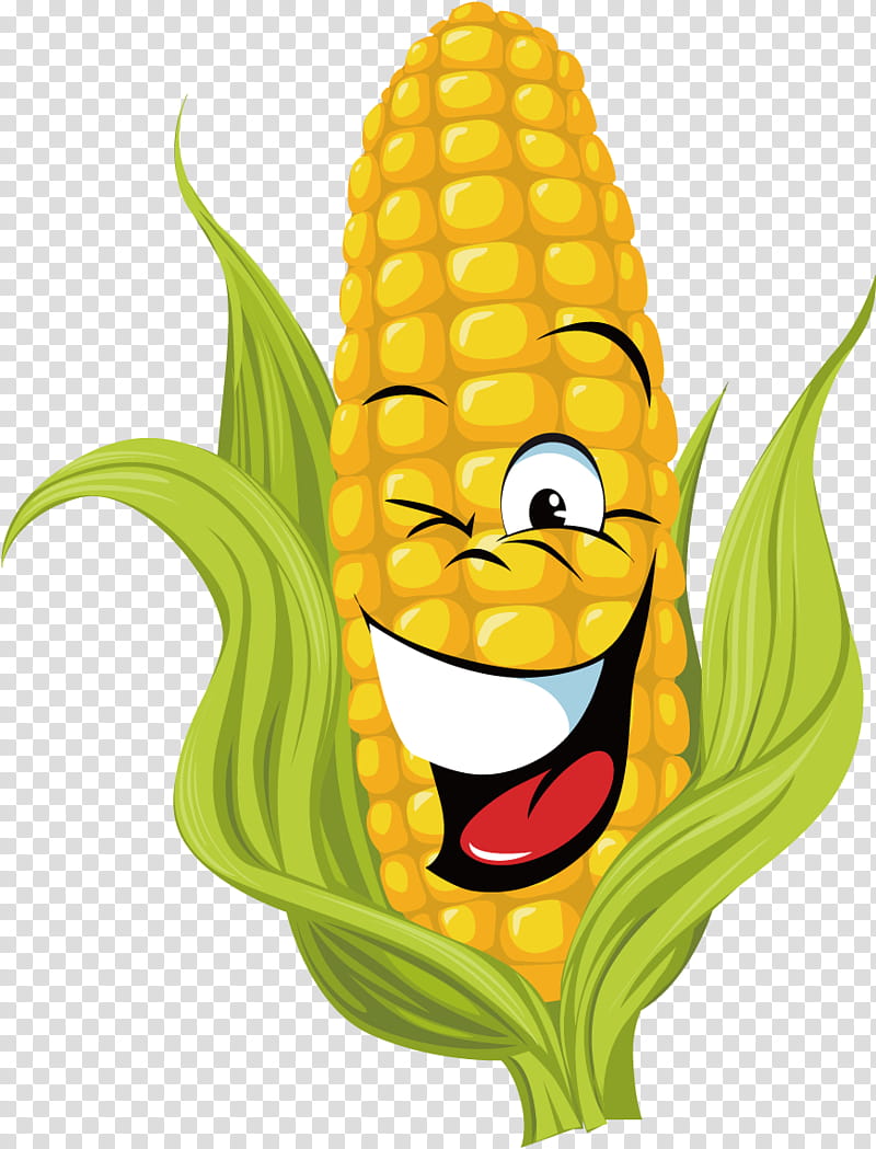 Vegetable, Corn On The Cob, Sweet Corn, Field Corn, White Corn, Drawing, Cartoon, Vegetarian Food transparent background PNG clipart