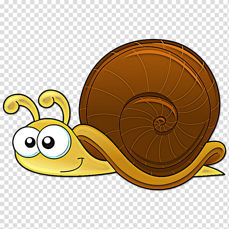 snails and slugs snail sea snail slug lymnaeidae transparent background PNG clipart
