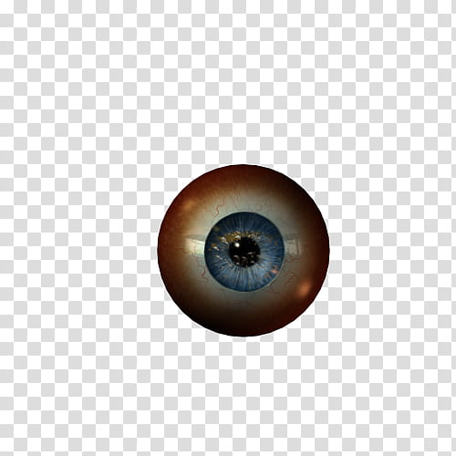 Texture Set  Eyeballs, human eye illustration transparent background PNG clipart
