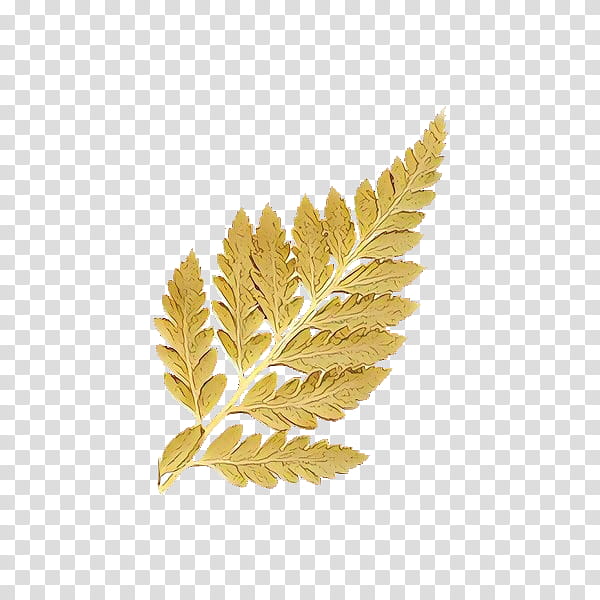 Flower Sticker, Cartoon, Mood Board, Leaf, Plants, Leather, Fern, Leatherleaf Fern transparent background PNG clipart