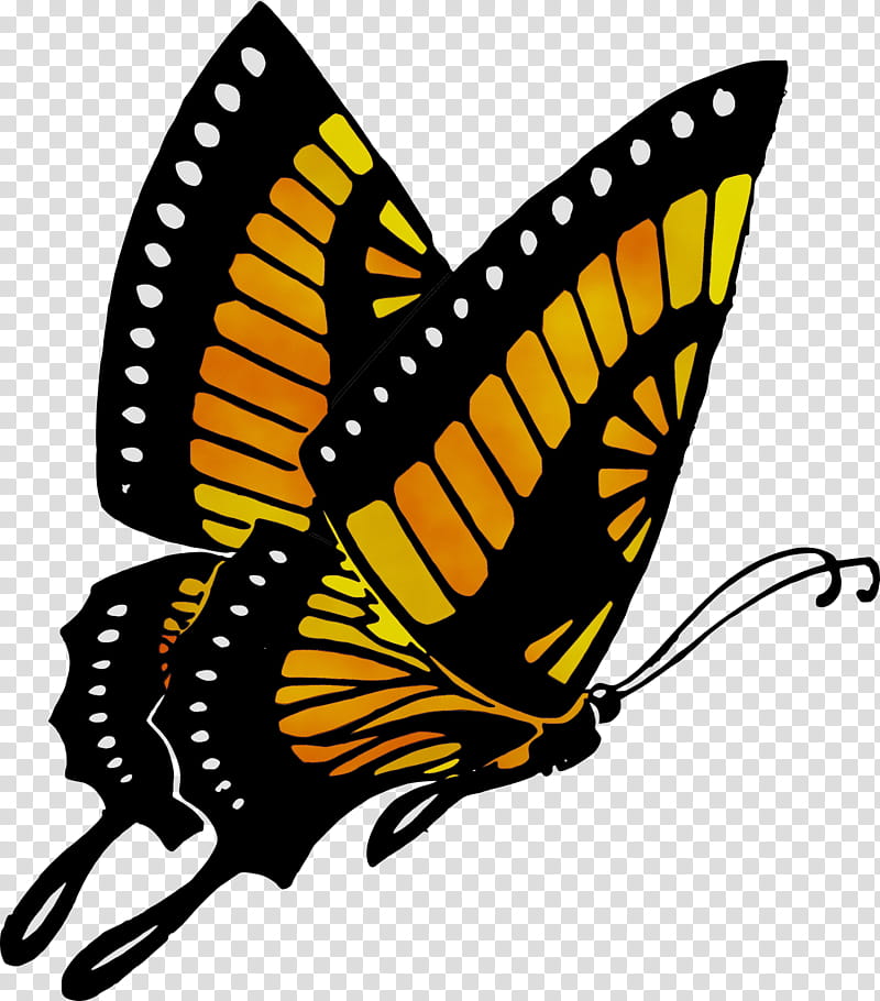 Monarch Butterfly Drawing, Black Swallowtail, Swallowtail Butterfly, Silhouette, Swallowtails, Moths And Butterflies, Insect, Brushfooted Butterfly transparent background PNG clipart