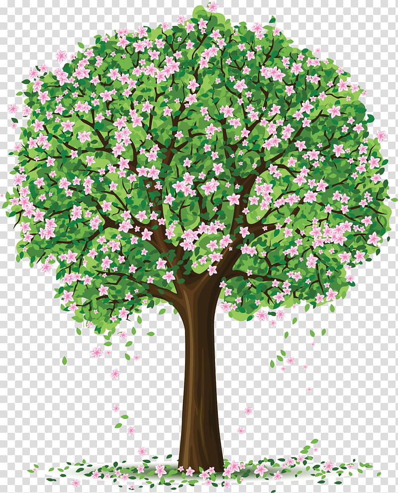 Oak Tree Silhouette, Drawing, Branch, Blossom, Watercolor Painting, Spring
, Plant, Green transparent background PNG clipart