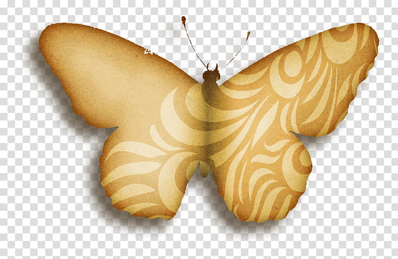 I Want to Fly Away Elements, beige butterfly transparent background PNG clipart