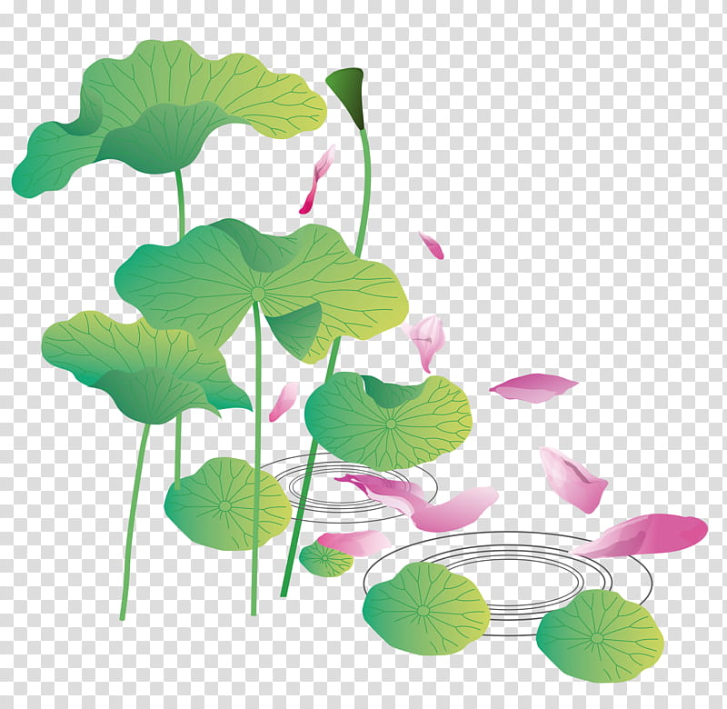 Green Leaf, Sacred Lotus, Petal, Cartoon, Pond, Upload, Flower, Flora transparent background PNG clipart
