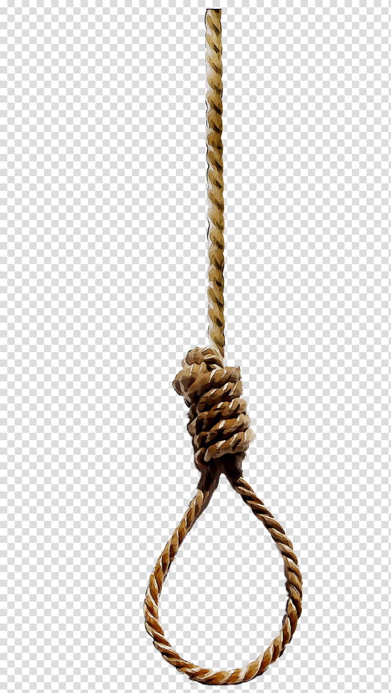 Knotted Bundled Safety Long Rope, Safety Rope, Tie, Cord PNG Transparent  Image and Clipart for Free Download