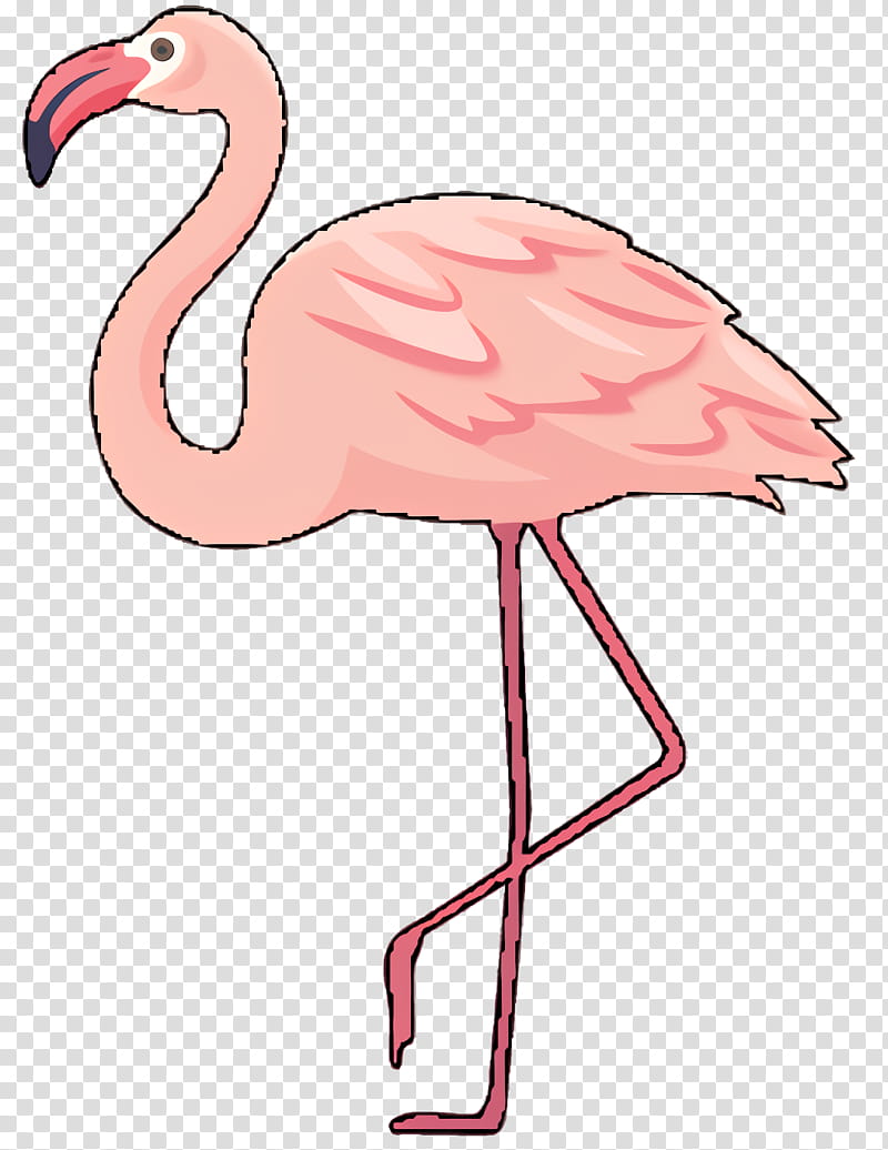Flamingo Silhouette, Drawing, Cartoon, Greater Flamingo, Bird, Pink, Water Bird, Beak transparent background PNG clipart