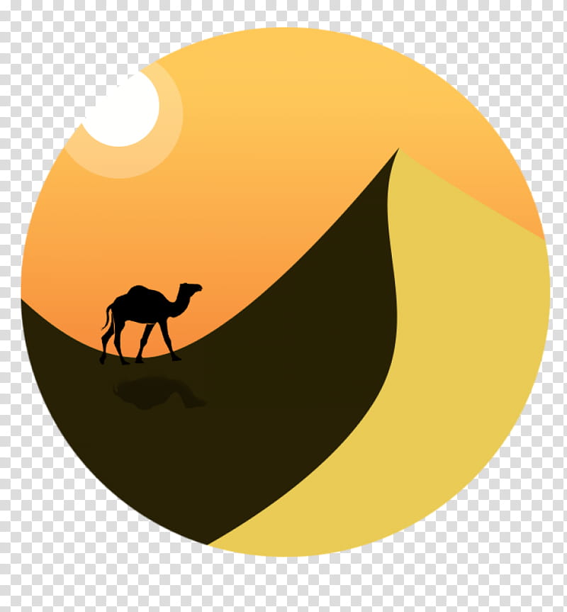 Cat Silhouette, Sahara, Ouarzazate, Desert, Oasis, Merzouga, Yellow, Orange transparent background PNG clipart