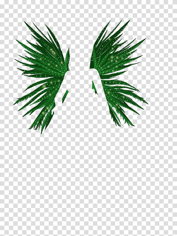 Palm Tree Drawing, Lady Popular, Xs Software, Costume Design, Mermaid, Fairy, Fashion, Model Sheet transparent background PNG clipart