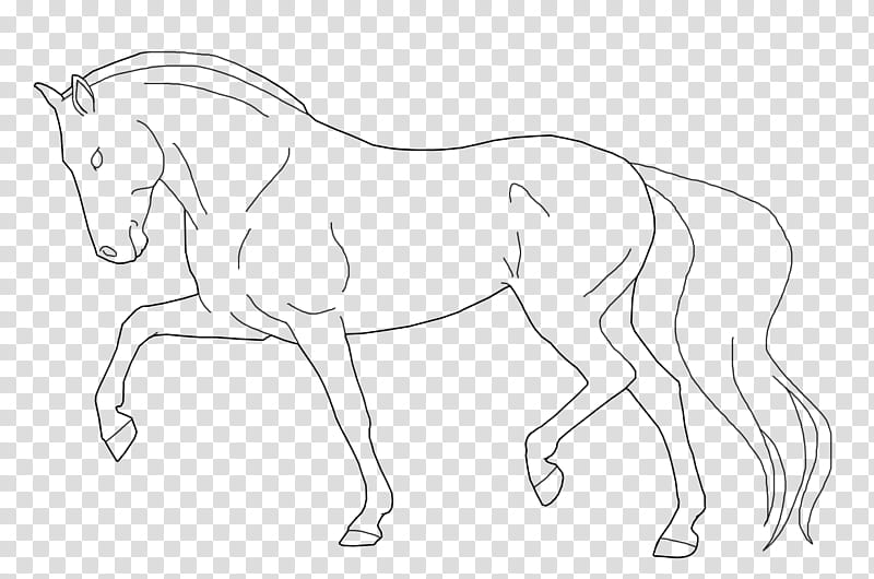 andalusian line art , blue horse illustration transparent background PNG clipart