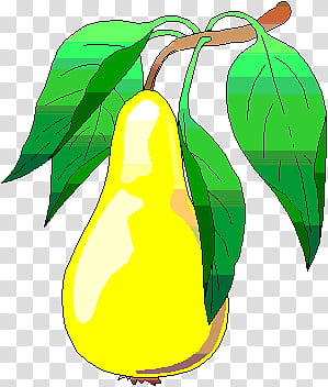 Watch, yellow guava transparent background PNG clipart