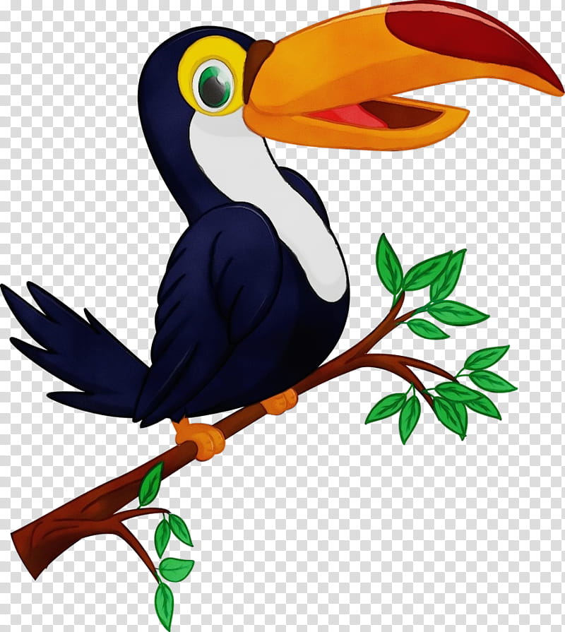 bird toucan beak hornbill piciformes, Watercolor, Paint, Wet Ink, Coraciiformes transparent background PNG clipart